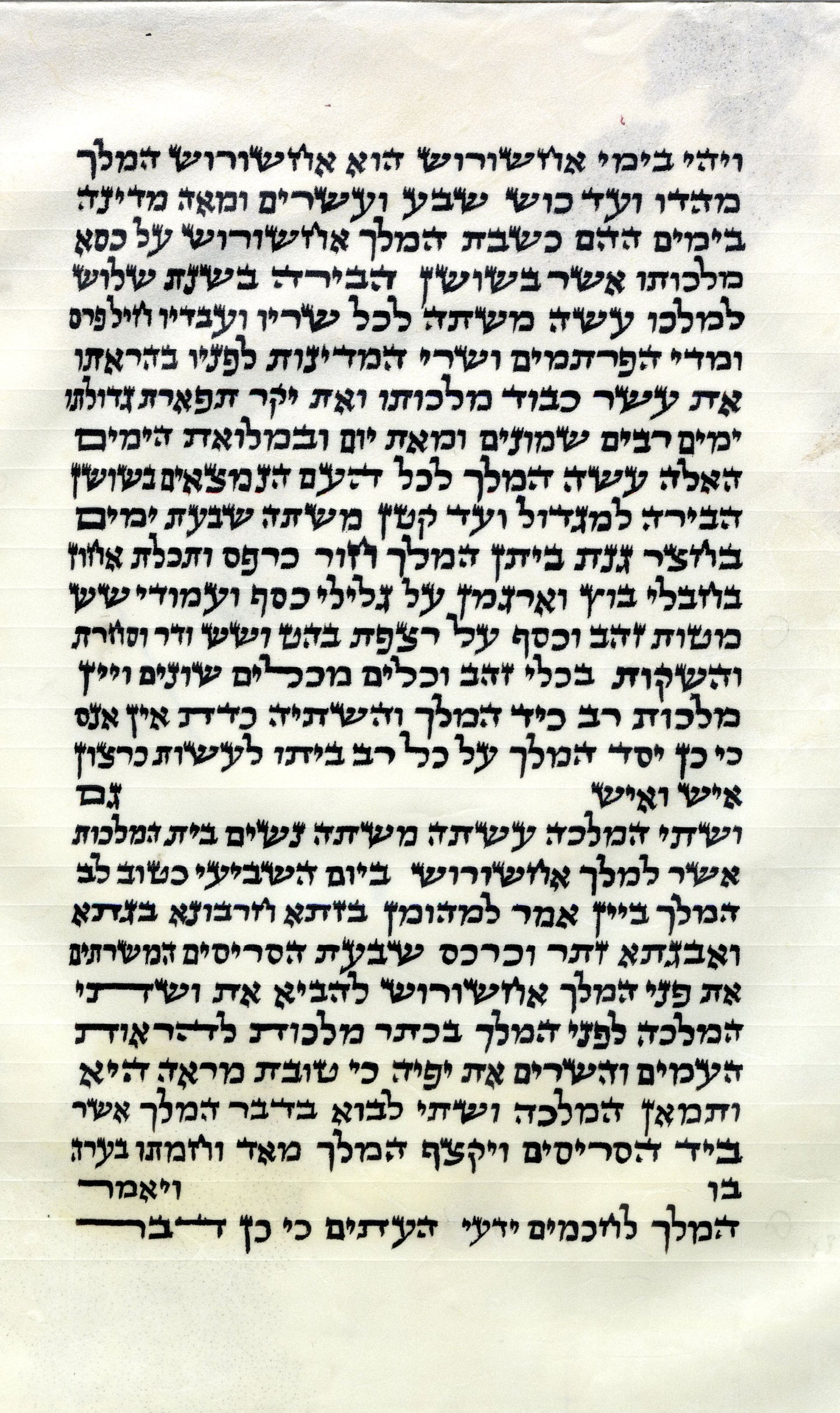 Megillah leitner Ari 12inch