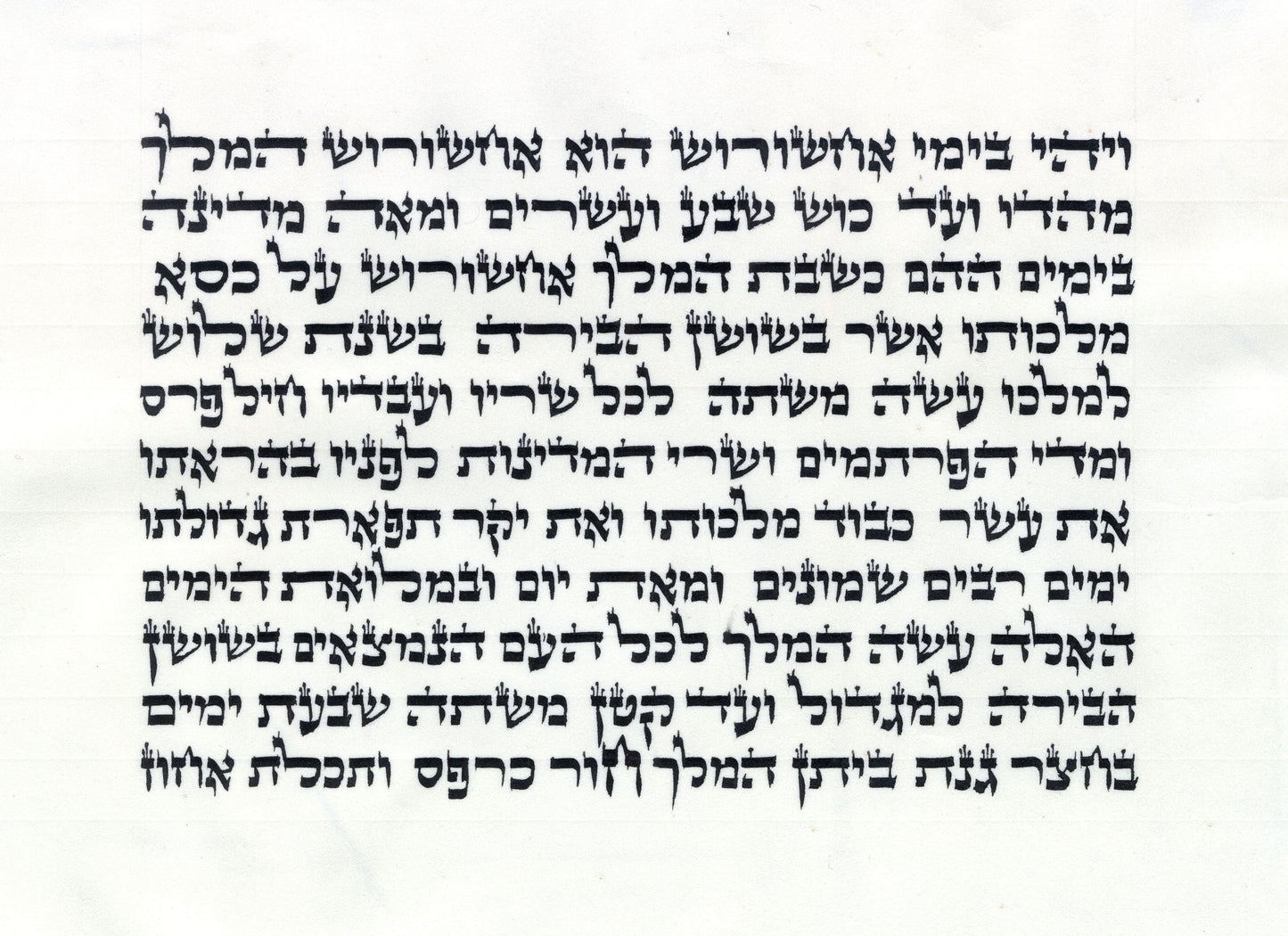 Megillah Eilbirt Ari/B"Y 11 line 7 inch