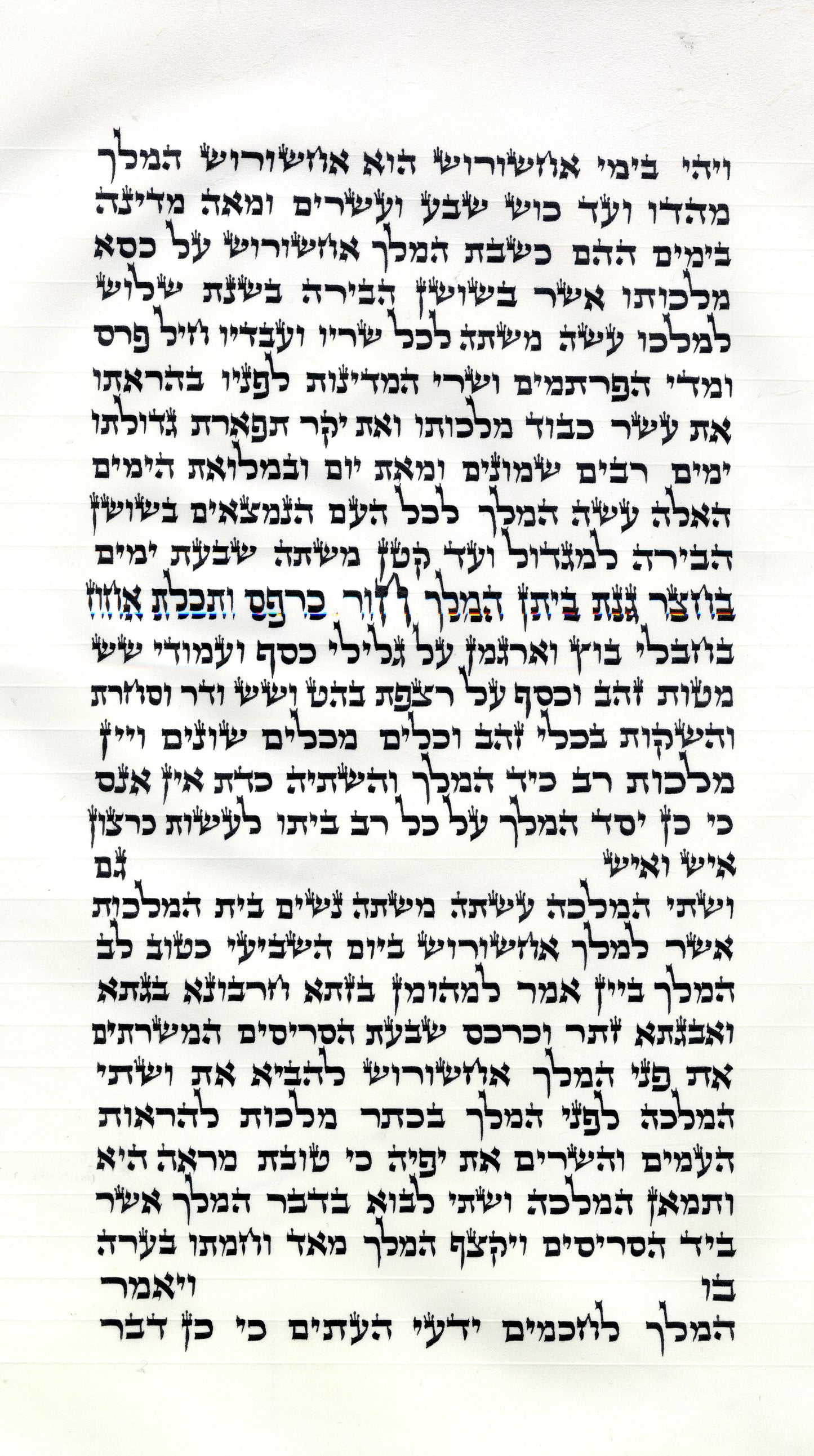 Megillah porey Ari/B"Y 14inch