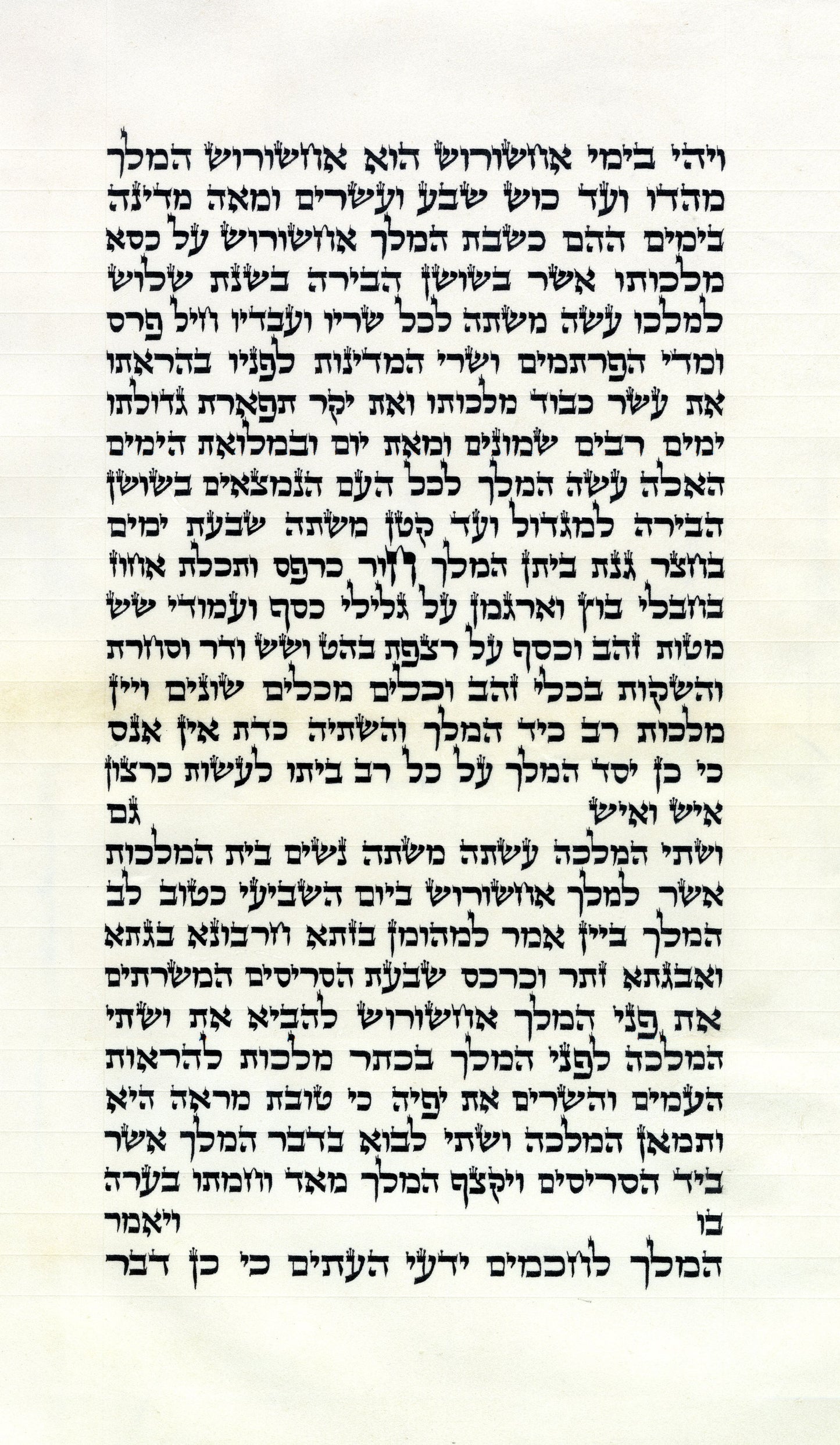 Megillah Rosen Ari/B"Y 15inch