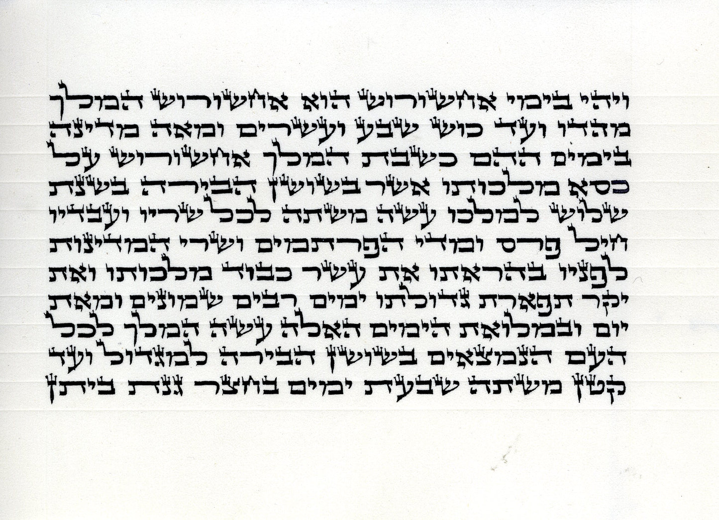 Megillah Gabbi Ari/B"Y 3.5 inch