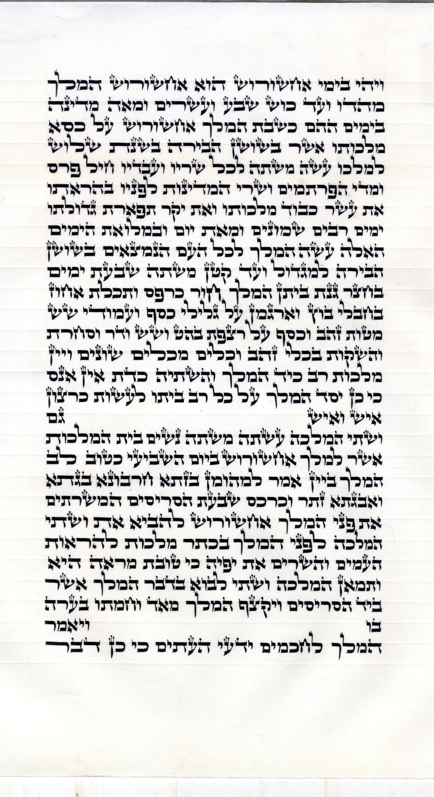 Megillah stern Ari/B"Y 15 inch