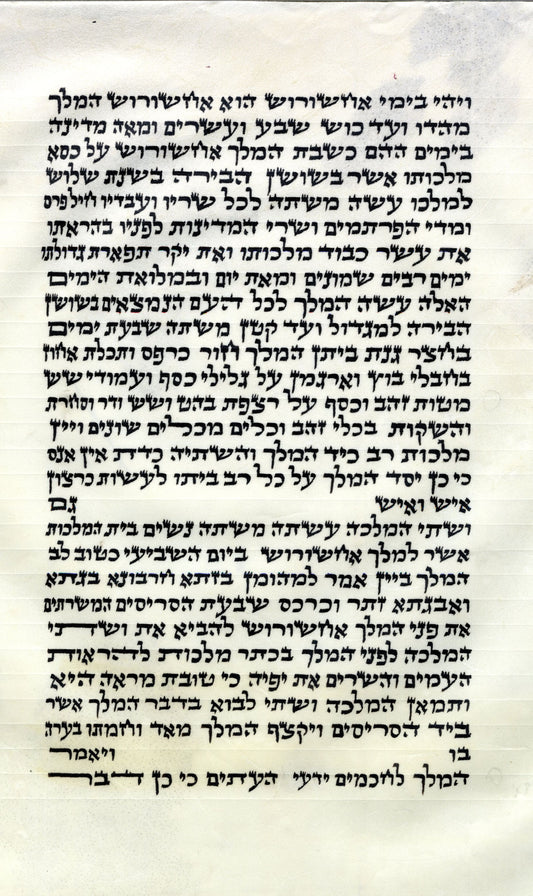 Megillah leitner Ari 12inch