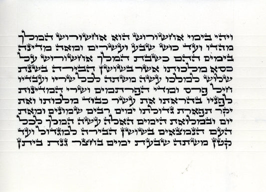 Megillah Gabbi Ari/B"Y 3.5 inch