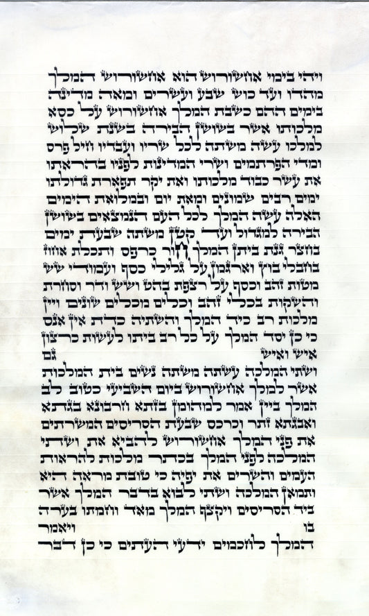 Megillah Grossman 10inch 28line